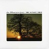 The Mountain Goats - The Sunset Tree -  Vinyl Record