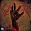 Slayer - Christ Illusion -  Vinyl Record