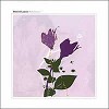 Daniel Lanois - Belladonna -  Vinyl Record