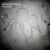Kate Bush - 50 Words For Snow -  Vinyl Record