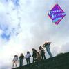 Lynyrd Skynyrd - Nuthin' Fancy -  200 Gram Vinyl Record