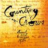 Counting Crows - August And Everything After -  45 RPM Vinyl Record