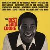 Sam Cooke - The Best Of Sam Cooke -  45 RPM Vinyl Record