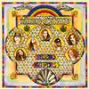 Lynyrd Skynyrd - Second Helping -  200 Gram Vinyl Record