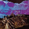 Late of the Pier - Fantasy Black Channel -  Vinyl Record
