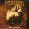 Pantera - Far Beyond Driven -  180 Gram Vinyl Record