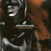 Widespread Panic - Live In The Classic City II -  Vinyl Record & CD