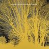 Nada Surf - The Stars Are Indifferent To Astronomy -  Vinyl Record