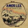 Amos Lee - As The Crow Flies -  10 inch Vinyl Record