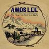 Amos Lee - As The Crow Flies -  10 inch Vinyl Record