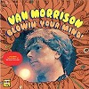 Van Morrison - Blowin' Your Mind -  180 Gram Vinyl LP