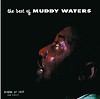 Muddy Waters - The Best of Muddy Waters -  180 Gram Vinyl Record