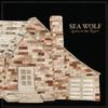 Sea Wolf - Leaves In The River -  Vinyl Record