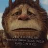 Karen O - Where The Wild Things Are -  Vinyl Record