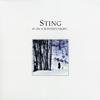 Sting - If On A Winter's Night... -  Vinyl Record