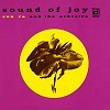 Sun Ra and The Arkestra - Sound of Joy -  Vinyl Record