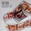 Kate Bush - Director's Cut -  180 Gram Vinyl Record