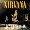 Nirvana -  Live At Reading -  180 Gram Vinyl Record