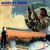 Guided By Voices - Under The Bushes Under The Stars -  180 Gram Vinyl Record
