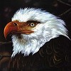 Mogwai - The Hawk Is Howling -  180 Gram Vinyl Record