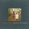 Andrew Bird - Break It Yourself -  Vinyl Record, DVD & CD