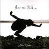 Eddie Vedder - Into The Wild -  180 Gram Vinyl Record
