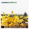Caribou - Andorra -  Vinyl Record