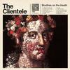 The Clientele - Bonfires On The Heath -  Vinyl Record