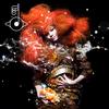 Bjork - Biophilia -  180 Gram Vinyl Record