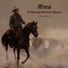 Ween - 12 Golden Country Greats -  180 Gram Vinyl LP
