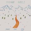 Vivian Girls - Share The Joy -  Vinyl Record