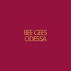 The Bee Gees - Odessa -  180 Gram Vinyl Record