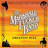 The Marshall Tucker Band  - Greatest Hits -  180 Gram Vinyl Record