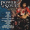 Various Artists - Power of Soul: A Tribute to Jimi Hendrix -  200 Gram Vinyl Record