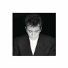 Peter Gabriel - Shaking The Tree -  200 Gram Vinyl Record