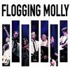 Flogging Molly - Live At The Greek Theatre -  Vinyl Record & DVD