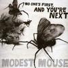 Modest Mouse - No Ones's First, and You're Next -  180 Gram Vinyl Record