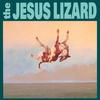 The Jesus Lizard - Down -  Vinyl Record