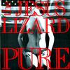 The Jesus Lizard - Pure -  45 RPM Vinyl Record