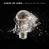 Kings of Leon - Because of the Times  -  Vinyl Record