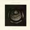 A Broken Consort - Box of Birch -  Vinyl Record