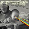 The Flaming Lips, Stardeath and White Dwarfs - The Flaming Lips And Stardeath And White Dwarfs With Henry Rollins And Peaches Doing Dark Side Of The Moon -  Vinyl Record & CD