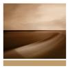Brian Eno - Small Craft On A Milk Sea -  Vinyl Record & CD