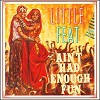Little Feat - Ain't Had Enough Fun -  180 Gram Vinyl Record