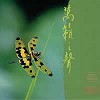 Jazz Pipa - Nature's Concerto -  XRCD24 CD