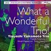 Tsuyoshi Yamamoto Trio - What a Wonderful Trio! -  DXD
