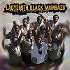 Ladysmith Black Mambazo - Raise Your Spirit Higher (Wenyukela) -  Hybrid Multichannel SACD