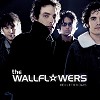 The Wallflowers - Red Letter Days -  Hybrid Multichannel SACD