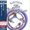 Camel  - White geese (Snow Goose) -  SHM Single Layer SACDs