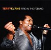 Terry Evans - Fire In the Feeling -  CD
